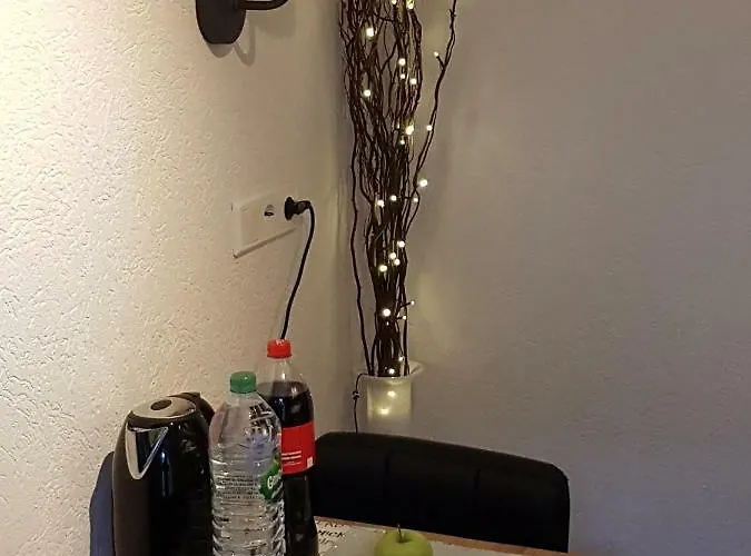 Stein Eg 弗里茨拉尔